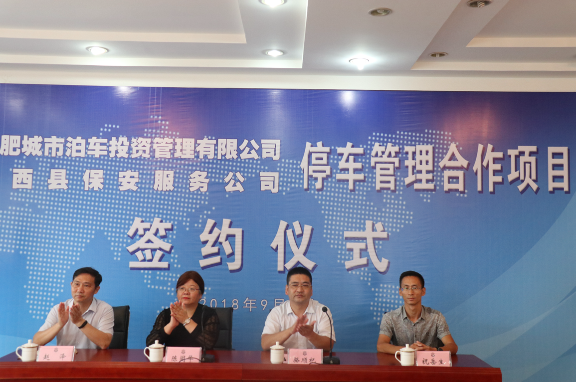 岳西县停车管理升级案例